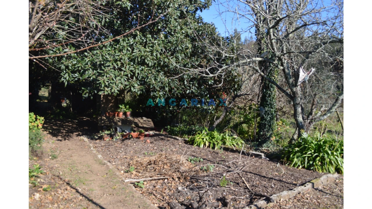 Terreno para Venda em Figueiró dos Vinhos e Bairradas Foto 10