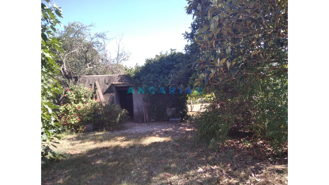 Terreno para Venda em Figueiró dos Vinhos e Bairradas Foto 29