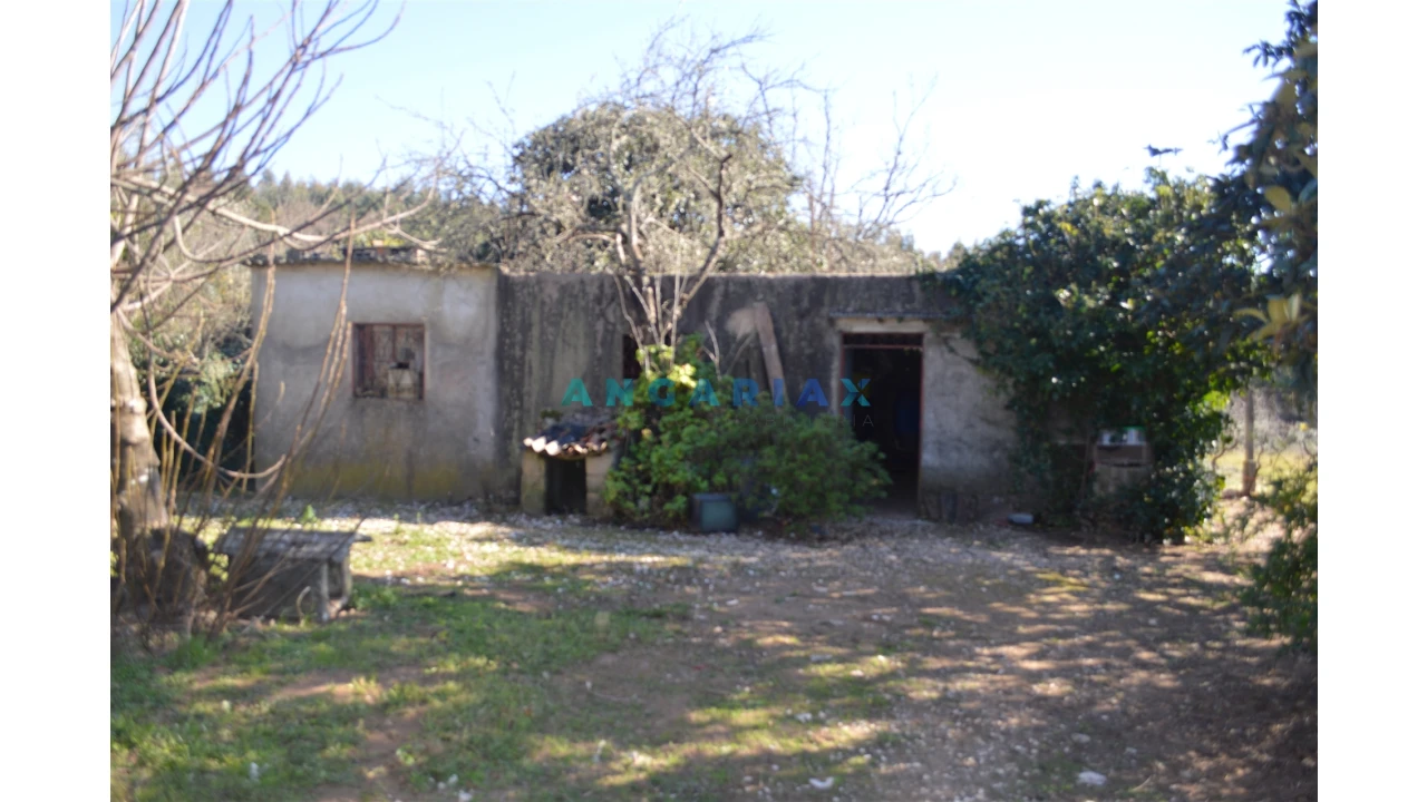 Terreno para Venda em Figueiró dos Vinhos e Bairradas Foto 2