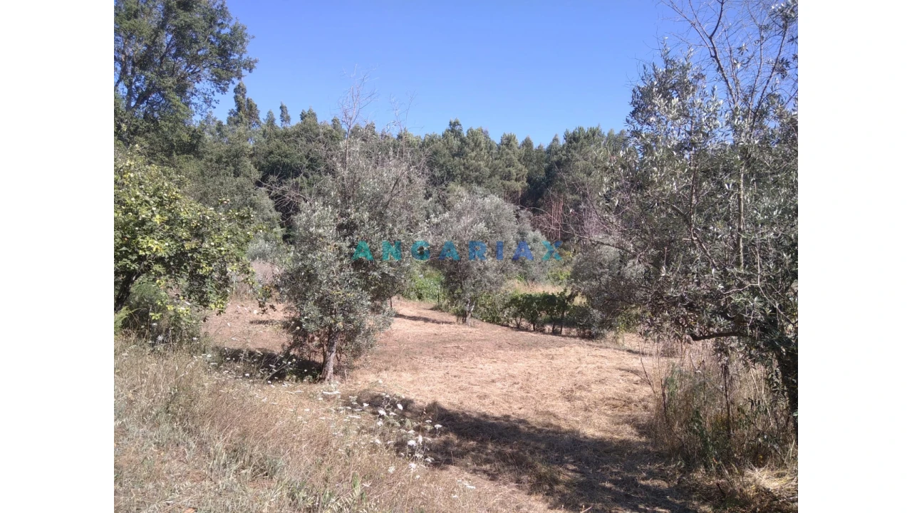Terreno para Venda em Figueiró dos Vinhos e Bairradas Foto 34