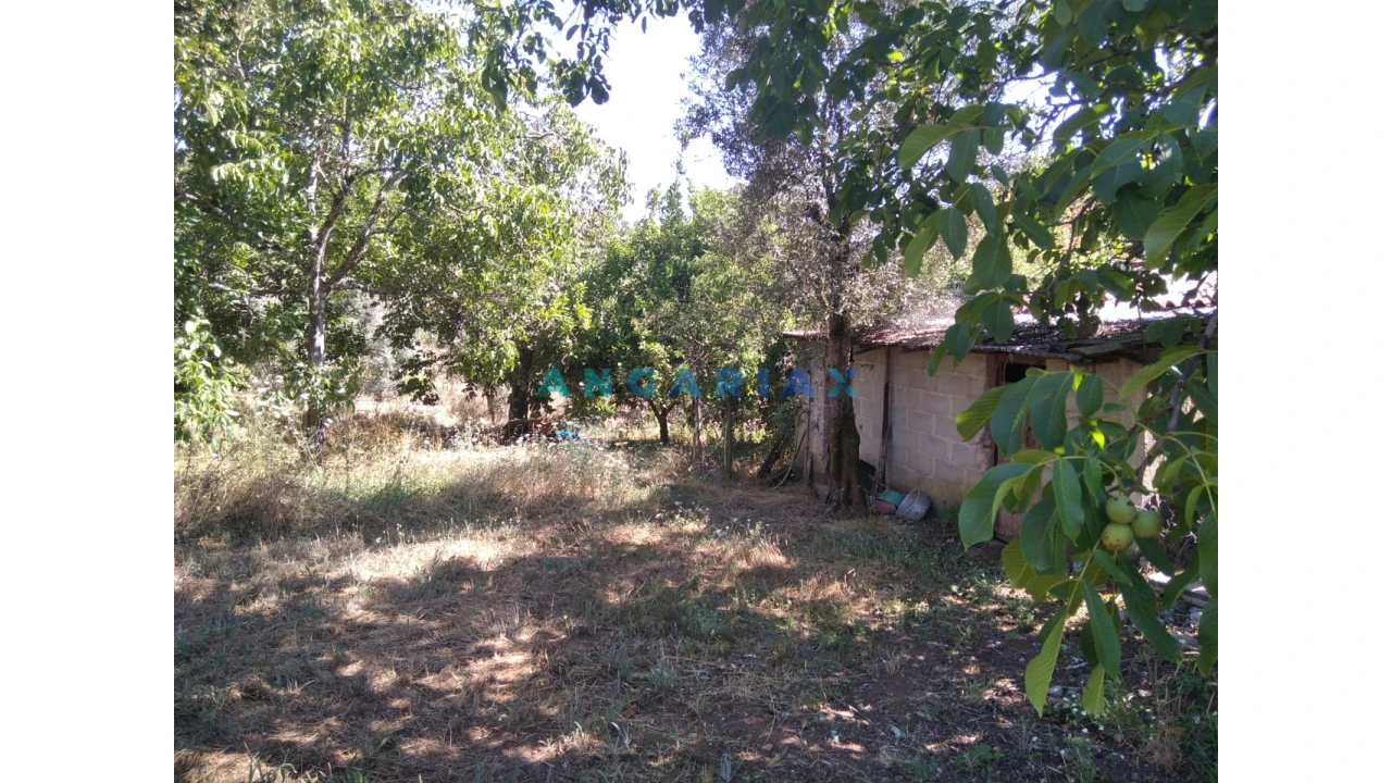 Terreno para Venda em Figueiró dos Vinhos e Bairradas Foto 28
