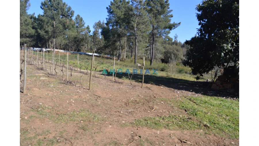 Terreno para Venda em Figueiró dos Vinhos e Bairradas Foto 7