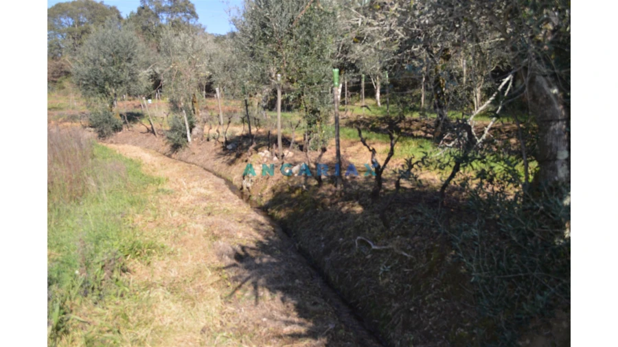 Terreno para Venda em Figueiró dos Vinhos e Bairradas Foto 14