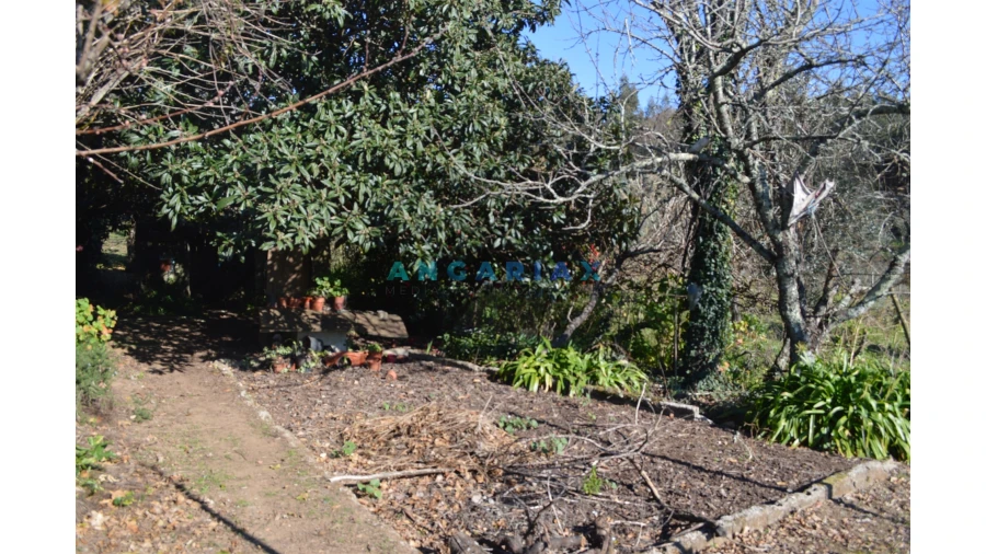 Terreno para Venda em Figueiró dos Vinhos e Bairradas Foto 10