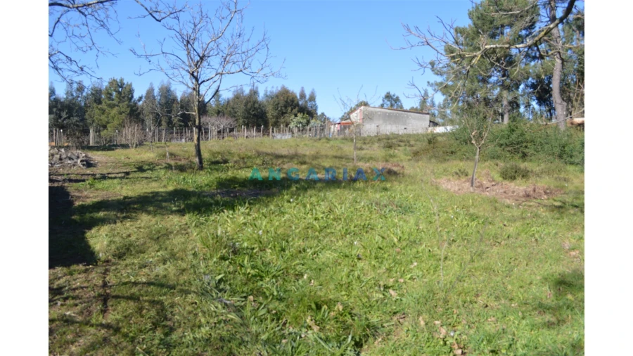Terreno para Venda em Figueiró dos Vinhos e Bairradas Foto 25