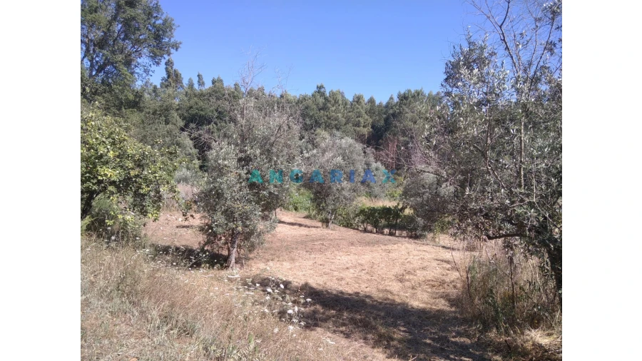 Terreno para Venda em Figueiró dos Vinhos e Bairradas Foto 34