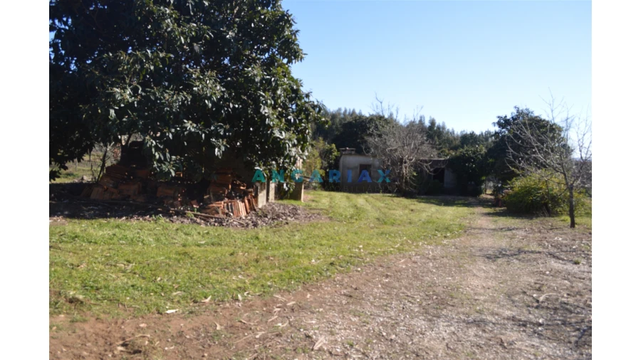 Terreno para Venda em Figueiró dos Vinhos e Bairradas Foto 8