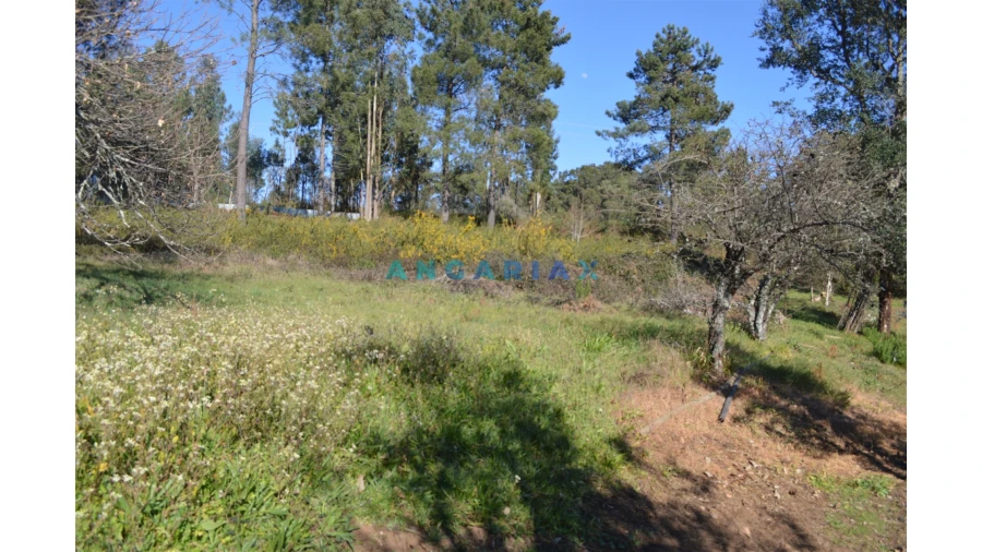 Terreno para Venda em Figueiró dos Vinhos e Bairradas Foto 24