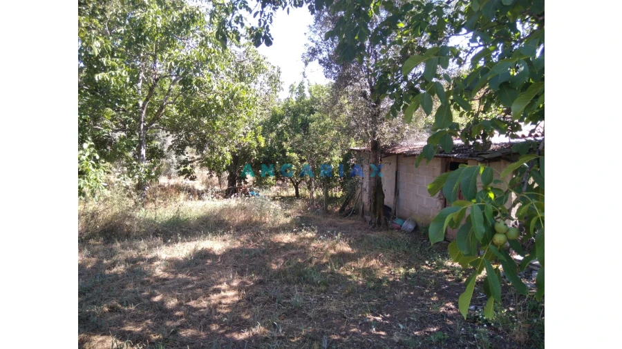 Terreno para Venda em Figueiró dos Vinhos e Bairradas Foto 28