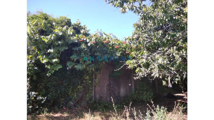 Terreno para Venda em Figueiró dos Vinhos e Bairradas Foto 40