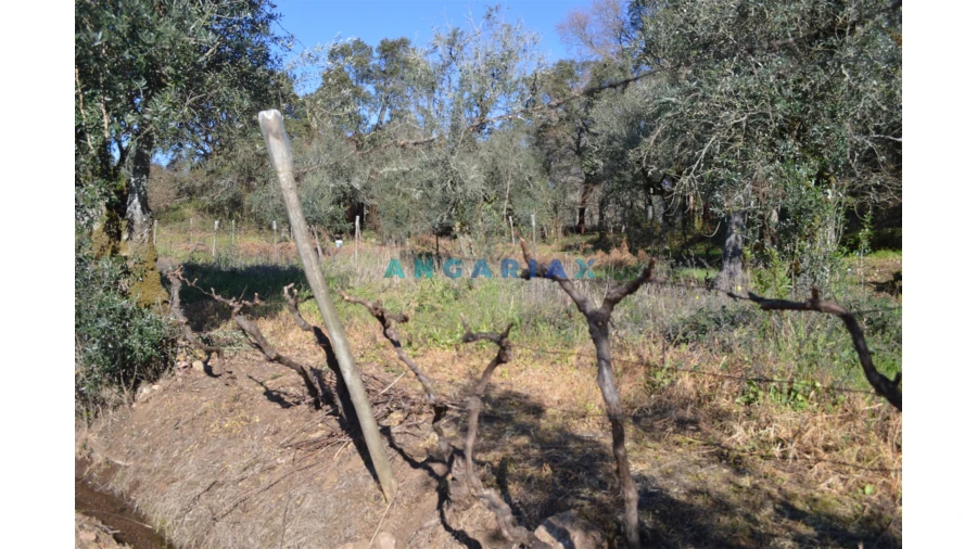 Terreno para Venda em Figueiró dos Vinhos e Bairradas Foto 17