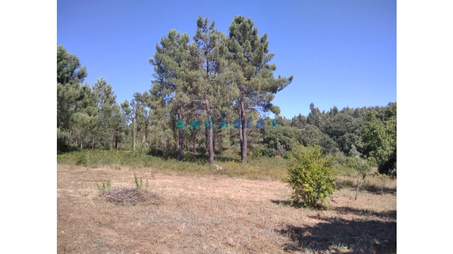 Terreno para Venda em Figueiró dos Vinhos e Bairradas Foto 33