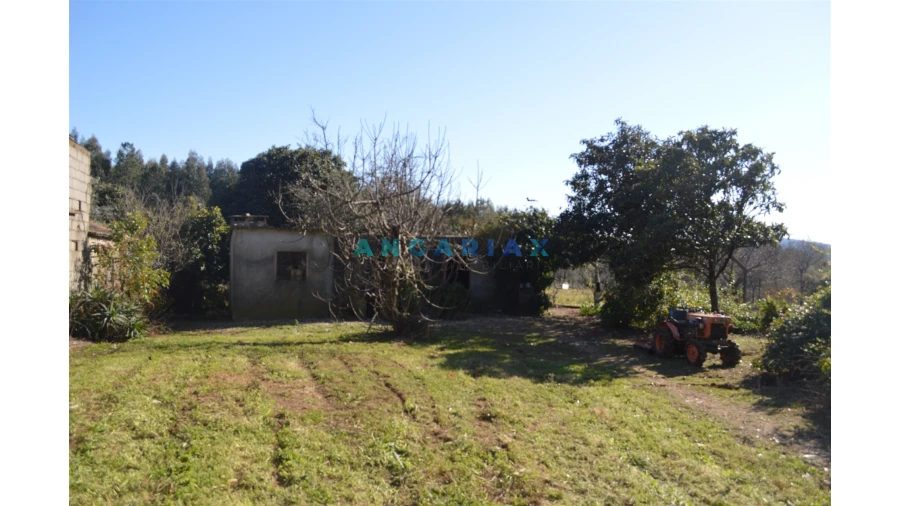 Terreno para Venda em Figueiró dos Vinhos e Bairradas Foto 3