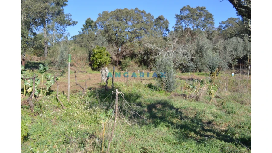 Terreno para Venda em Figueiró dos Vinhos e Bairradas Foto 20