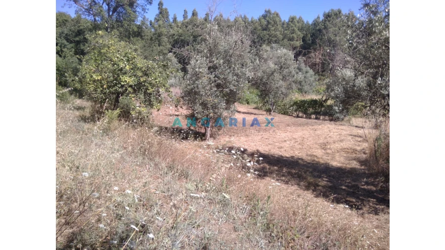 Terreno para Venda em Figueiró dos Vinhos e Bairradas Foto 38