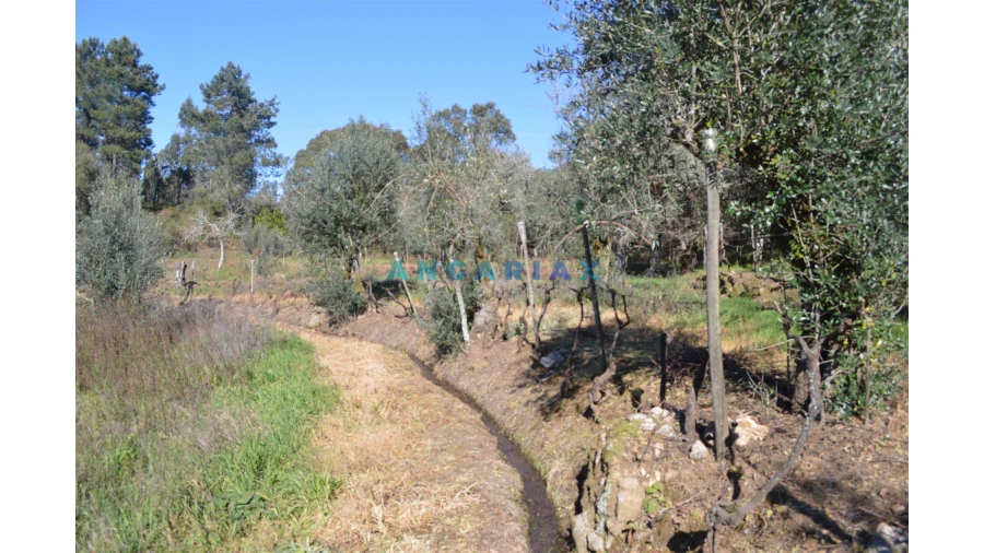 Terreno para Venda em Figueiró dos Vinhos e Bairradas Foto 16