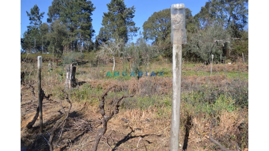 Terreno para Venda em Figueiró dos Vinhos e Bairradas Foto 18