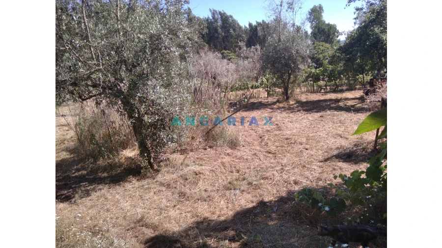 Terreno para Venda em Figueiró dos Vinhos e Bairradas Foto 44