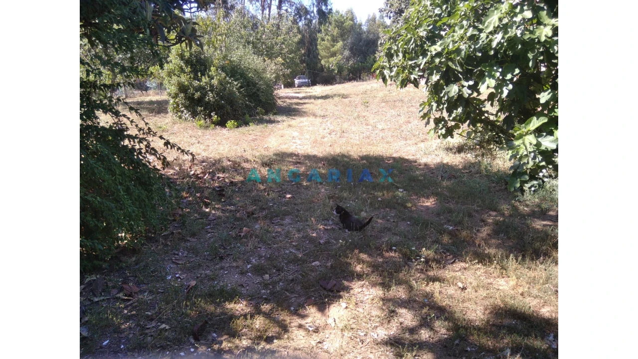 Terreno para Venda em Figueiró dos Vinhos e Bairradas Foto 36