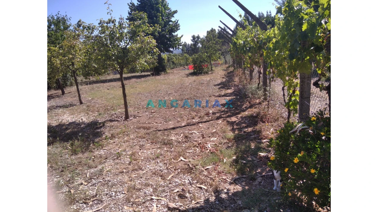 Terreno para Venda em Figueiró dos Vinhos e Bairradas Foto 32