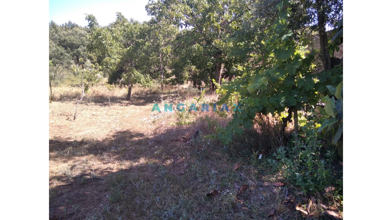 Terreno para Venda em Figueiró dos Vinhos e Bairradas Foto 30