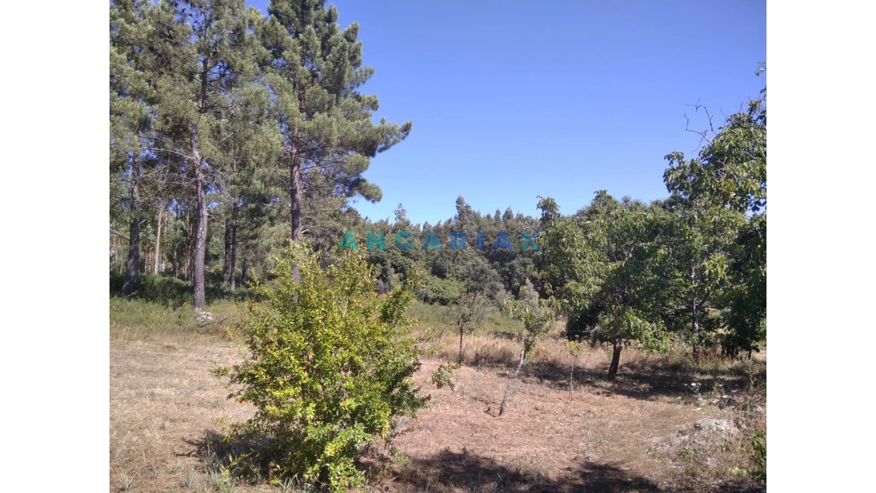 Terreno para Venda em Figueiró dos Vinhos e Bairradas Foto 27