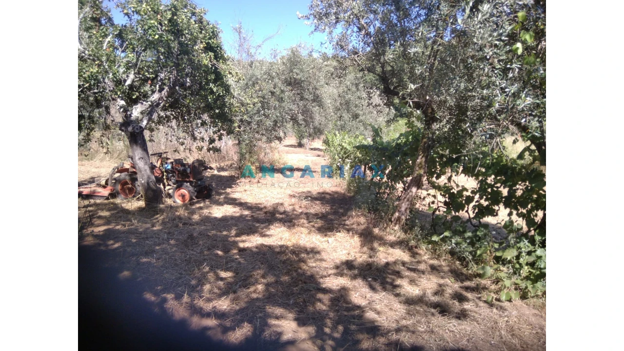 Terreno para Venda em Figueiró dos Vinhos e Bairradas Foto 39