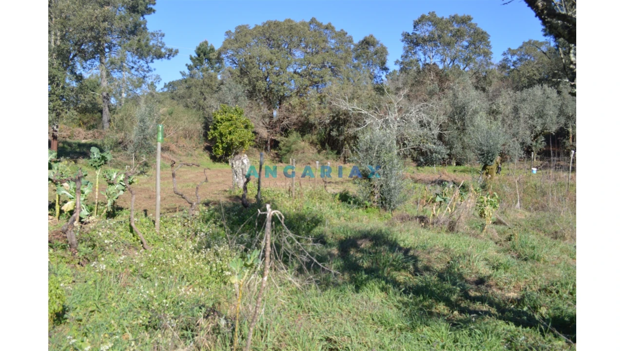 Terreno para Venda em Figueiró dos Vinhos e Bairradas Foto 20