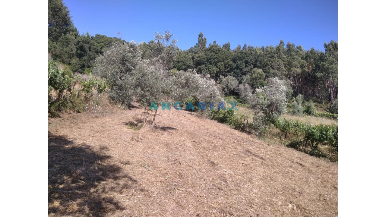 Terreno para Venda em Figueiró dos Vinhos e Bairradas Foto 43