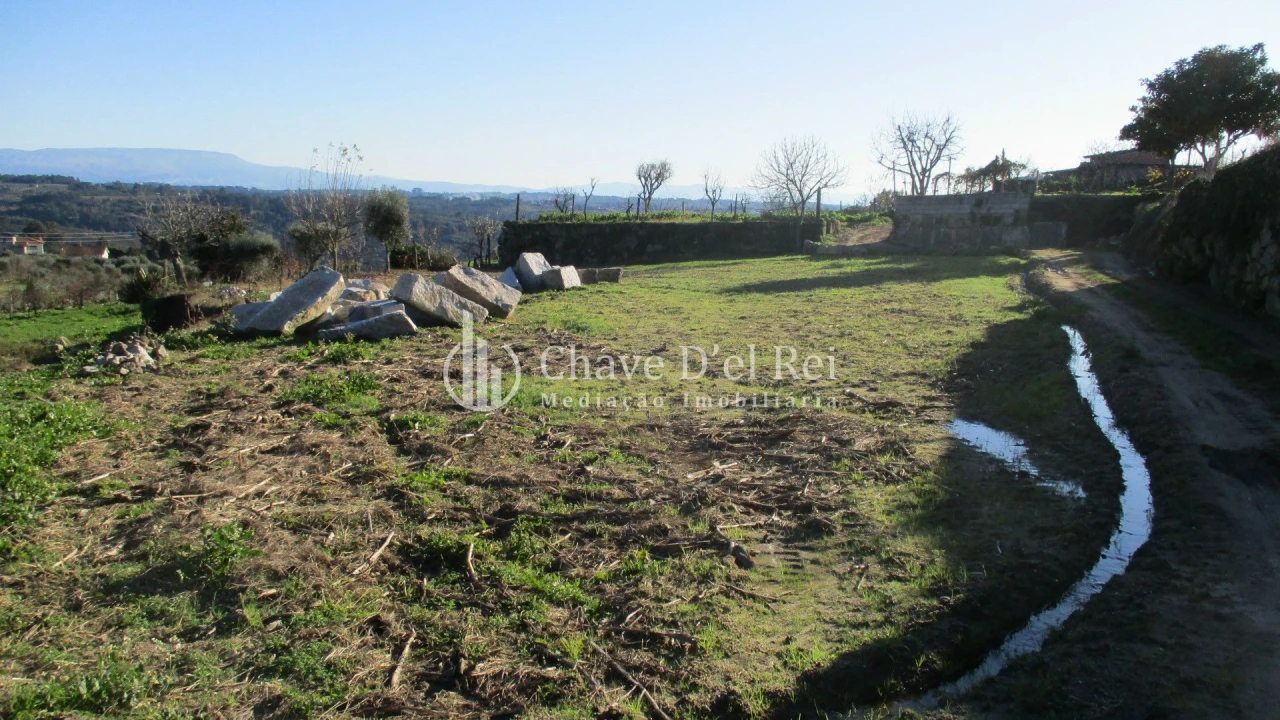 Quinta T0 para Venda em São João de Lourosa Foto 2