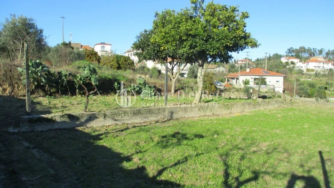 Quinta T0 para Venda em São João de Lourosa