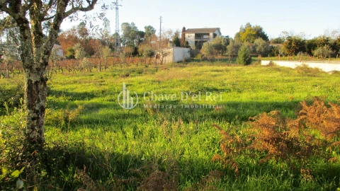 Quinta T0 para Venda em São João de Lourosa