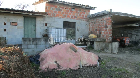 Quinta T0 para Venda em São João de Lourosa