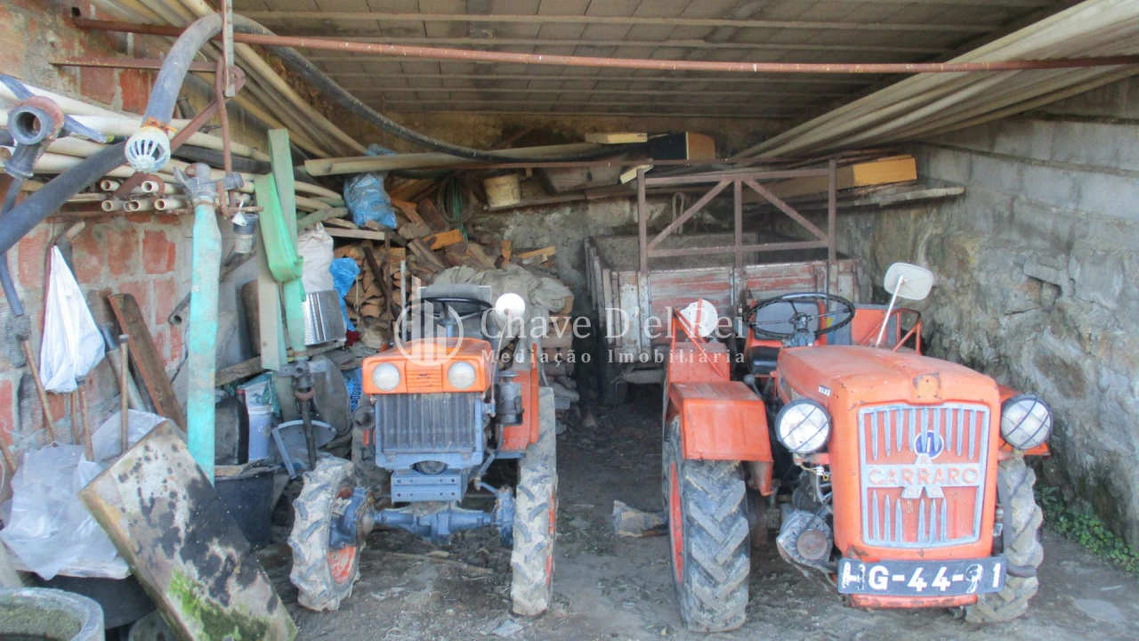Quinta T0 para Venda em São João de Lourosa Foto 12