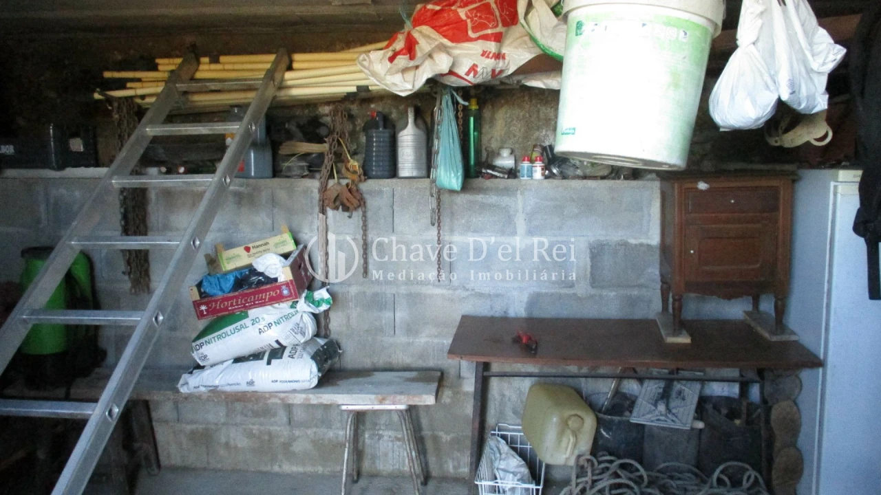 Quinta T0 para Venda em São João de Lourosa Foto 9