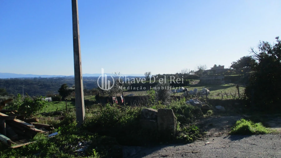 Quinta T0 para Venda em São João de Lourosa Foto 13