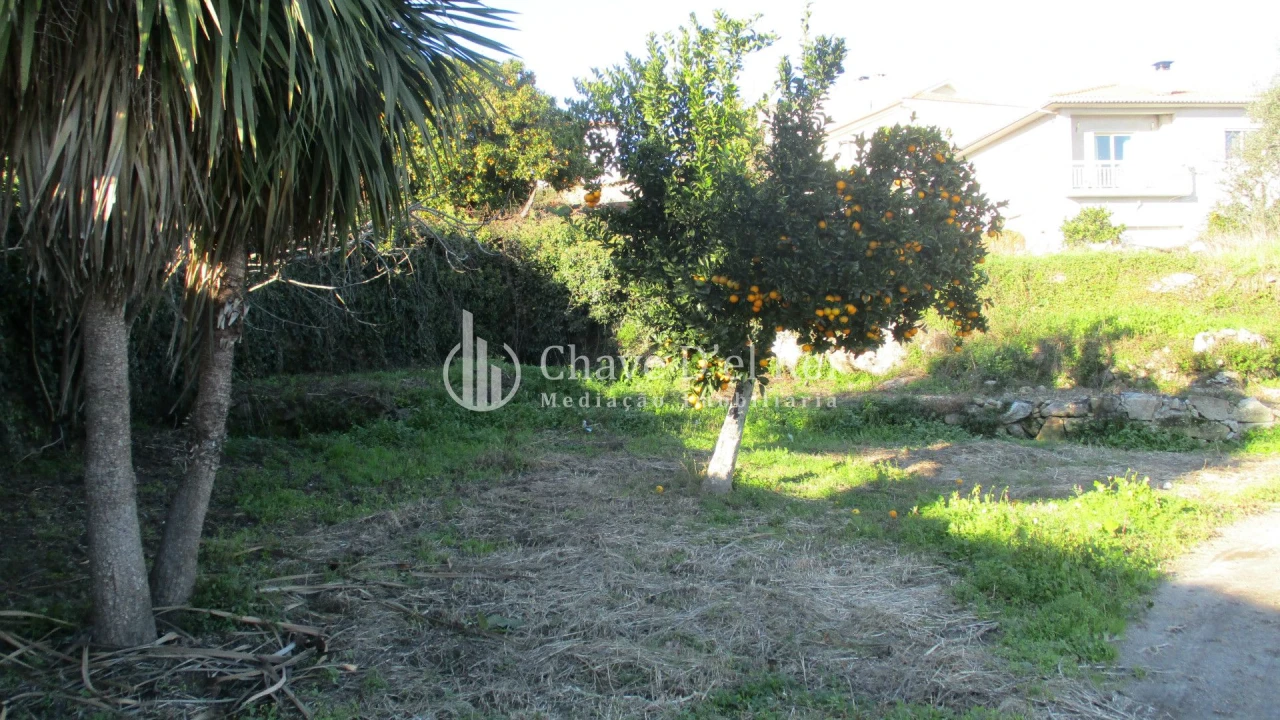 Quinta T0 para Venda em São João de Lourosa Foto 3