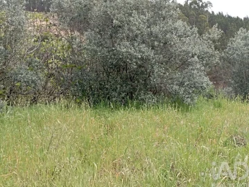Moradia T2 para Venda em São João Baptista e Santa Maria dos Olivais