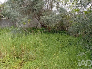 Moradia T2 para Venda em São João Baptista e Santa Maria dos Olivais