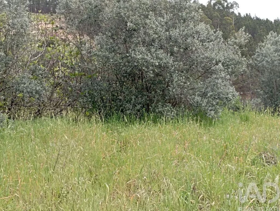 Moradia T2 para Venda em São João Baptista e Santa Maria dos Olivais Foto 23