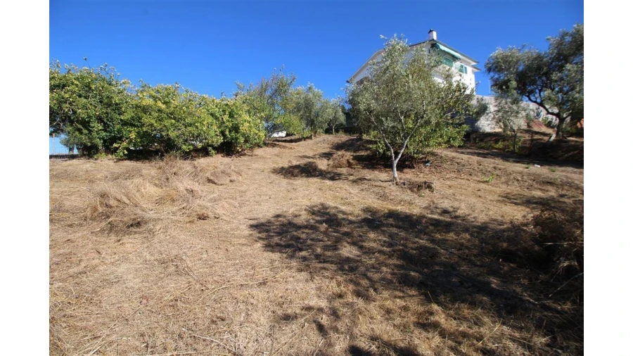 Terreno para Venda em Eiras e São Paulo de Frades Foto 1