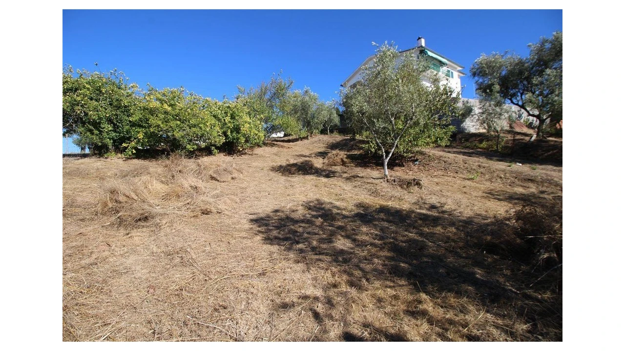 Terreno para Venda em Eiras e São Paulo de Frades Foto 1