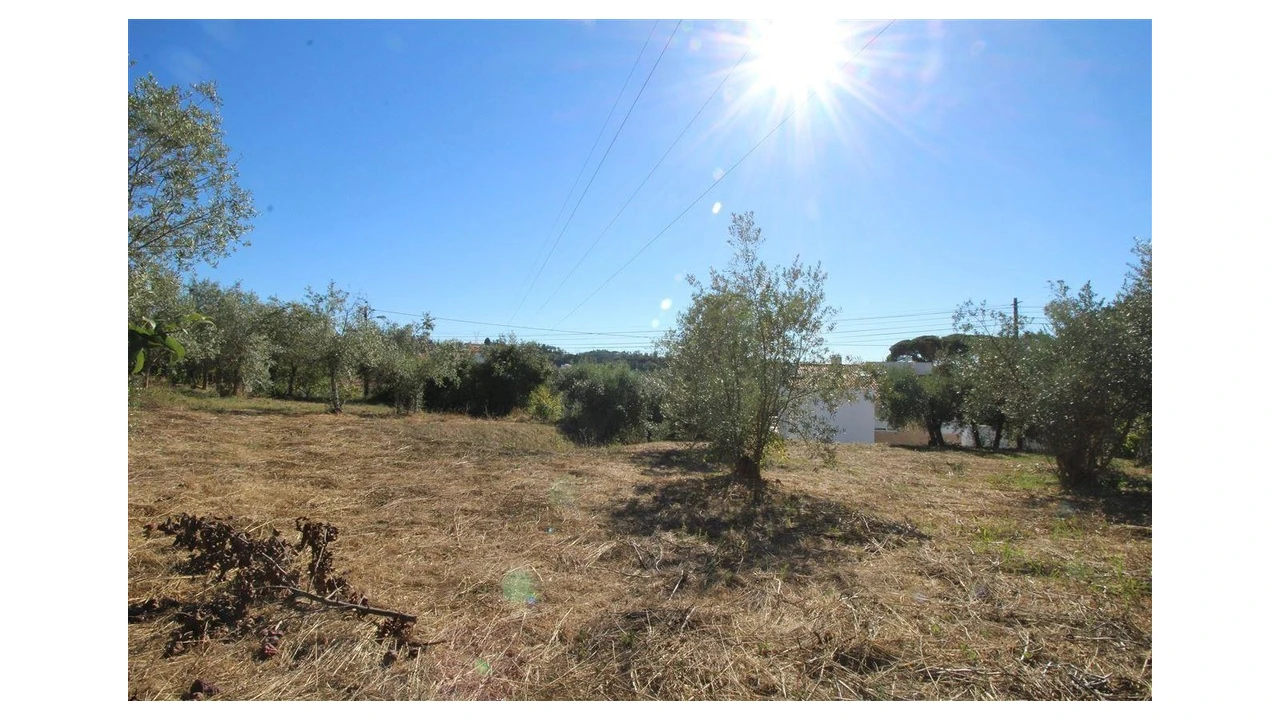 Terreno para Venda em Eiras e São Paulo de Frades Foto 3