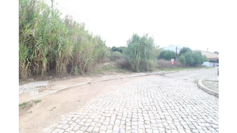 Terreno para Venda em Assafarge e Antanhol