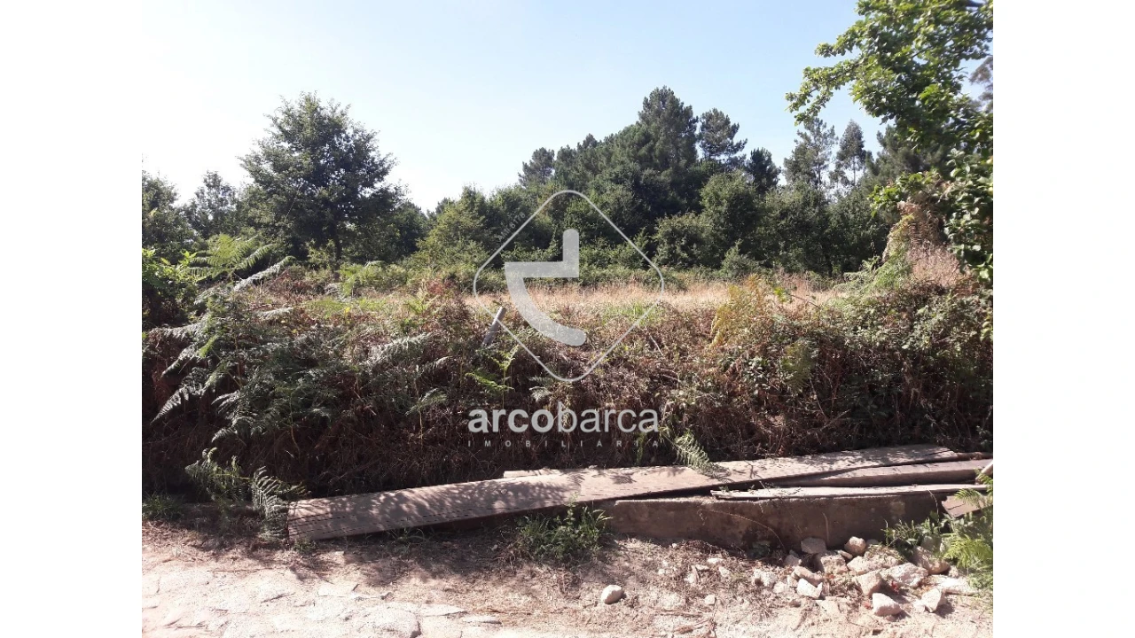 Terreno para Venda em Infesta Foto 5