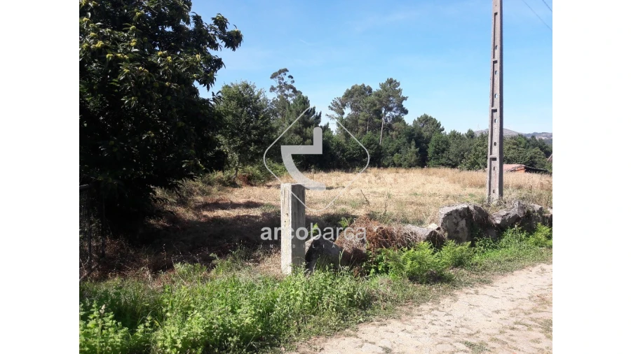 Terreno para Venda em Infesta Foto 3