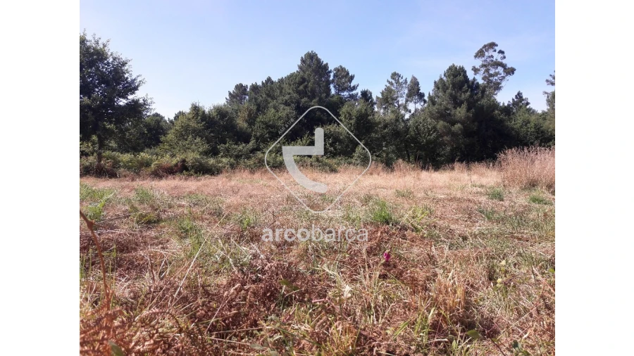 Terreno para Venda em Infesta Foto 6