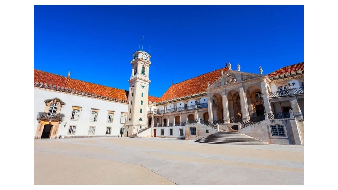 Terreno para Venda em Eiras e São Paulo de Frades Foto 16