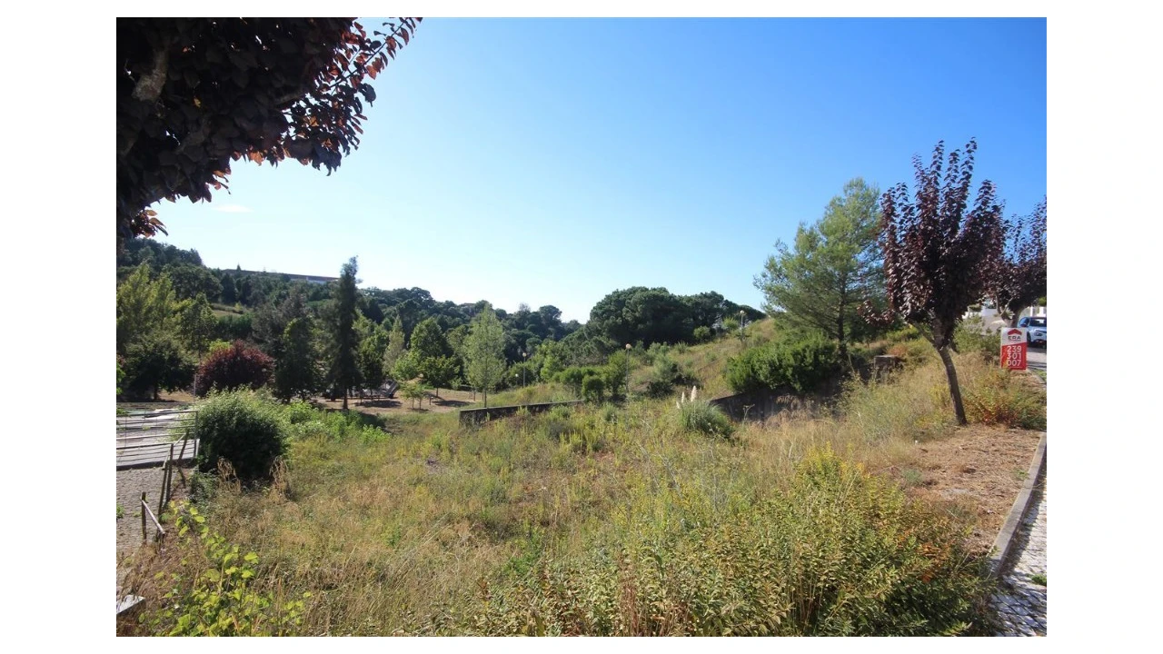 Terreno para Venda em Eiras e São Paulo de Frades Foto 7