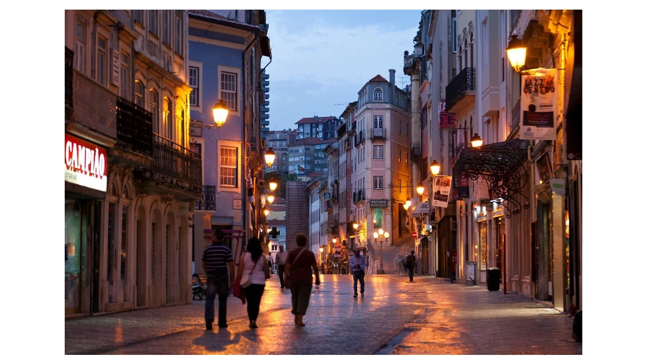 Terreno para Venda em Eiras e São Paulo de Frades Foto 15